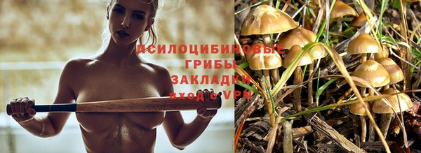 амф Алзамай